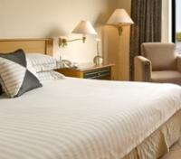 Garden View Room